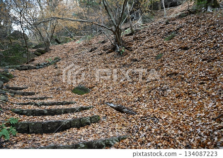 Kuon Kuidō 134087223