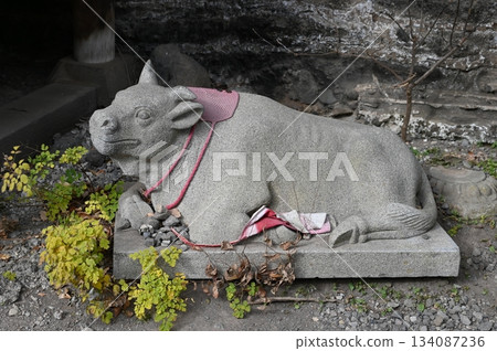 Kuon Kuidō 134087236