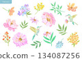 Cute vector illustration set of pastel spring flowers and hummingbirds 134087256