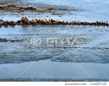 Wet Dirty Road Asphalt with Puddles and a Strip of Melting Snow, Textured Background Wet Dirty Road Asphalt with Puddles and a Strip of Melting Snow, Textured Background 134087536