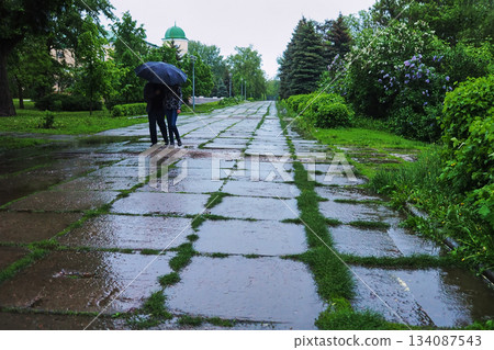 Wet Stone Path in a Park with Grass and a Couple Under an Umbrella After a Summer Rain Wet Stone Path in a Park with Grass and a Couple Under an Umbrella After a Summer Rain 134087543