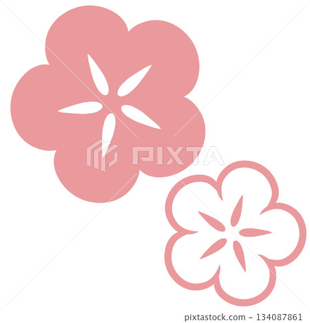 Two Japanese-style flowers, pink and white 134087861