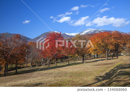 Autumn Tsukiyama Yubaridaira Park Autumn Tsukiyama Yubaridaira Park 134088060