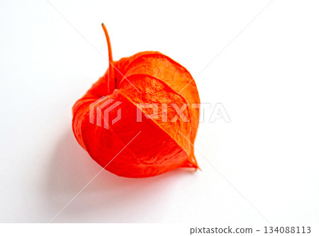 Single fresh Orange Physalis isolated on a white background. Single fresh Orange Physalis isolated on a white background. 134088113