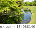 Spring in Korakuen Garden: A garden with a pond Spring in Korakuen Garden: A garden with a pond 134088140