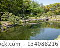 Spring in Korakuen Garden: A garden with a pond Spring in Korakuen Garden: A garden with a pond 134088216