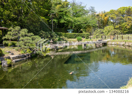 Spring in Korakuen Garden: A garden with a pond 134088216