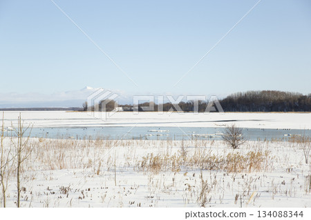 王朝湖在冬天 134088344