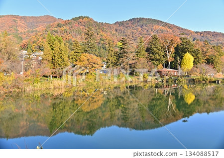 Autumn leaves reflected in Haruta Pond Autumn leaves reflected in Haruta Pond 134088517