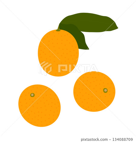 3個金橘 134088709