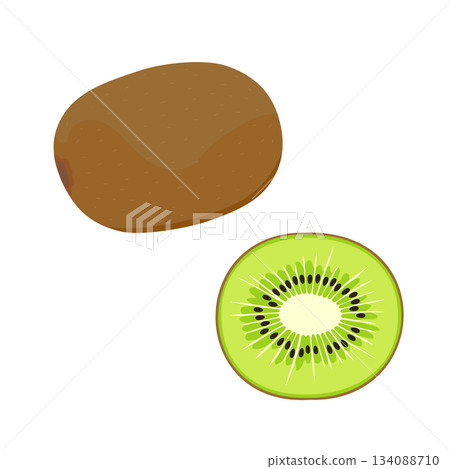 獼猴桃和橫斷面插圖集 獼猴桃和橫斷面插圖集 134088710