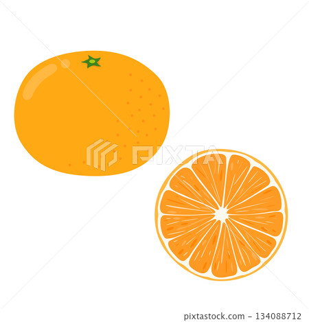 一組插圖,包括一顆橘子及其橫截面 一組插圖,包括一顆橘子及其橫截面 134088712
