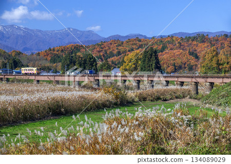 Local train Local train 134089029