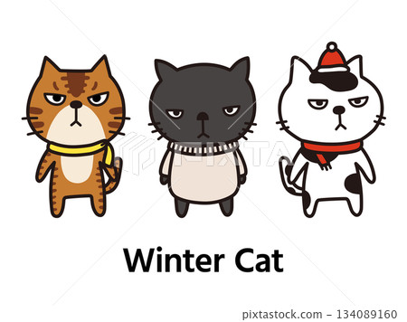 Winter cat 134089160