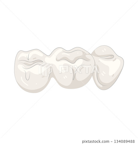 Illustration of tooth 134089488