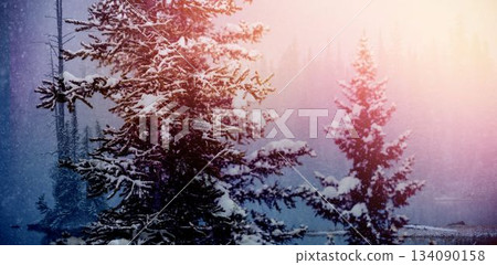 Scenic view of snow covered trees Scenic view of snow covered trees 134090158
