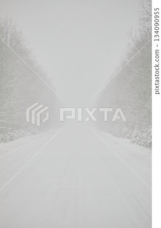 Winter empty snowy road in the forest. Snowfall with fog 134090955