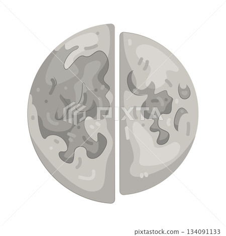 Illustration of moon 134091133