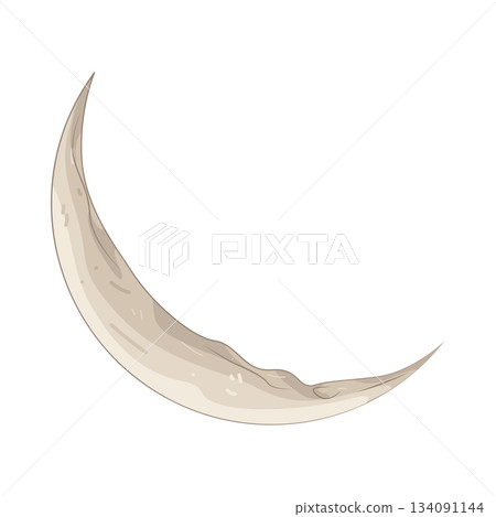 Illustration of crescent moon  134091144