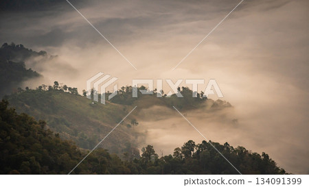 Serene Landscape of Rolling Hills Covered in Mist at Dawn with Soft Light Creating a Dreamlike Atmosphere in a Rural Setting Serene Landscape of Rolling Hills Covered in Mist at Dawn with Soft Light Creating a Dreamlike Atmosphere in a Rural Setting 134091399
