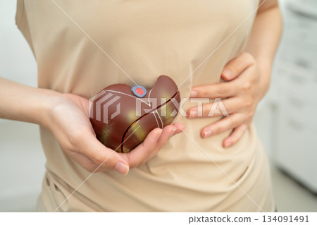Cirrhosis, Liver cancer, fatty liver, Asian women with liver human anatomy model in World Hepatitis Day. Cirrhosis, Liver cancer, fatty liver, Asian women with liver human anatomy model in World Hepatitis Day. 134091491