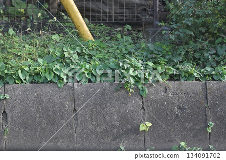 curb curb 134091702