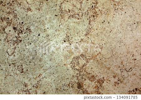 Showing rough beige and brown mottled stone surface in flat design, highlighting pits and speckles Showing rough beige and brown mottled stone surface in flat design, highlighting pits and speckles 134091785