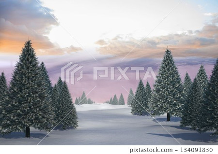Snowy landscape with fir trees Snowy landscape with fir trees 134091830