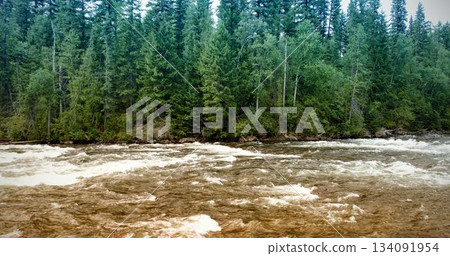 Brown river water is flowing through rapids with white foam in flat design, evergreen forest Brown river water is flowing through rapids with white foam in flat design, evergreen forest 134091954