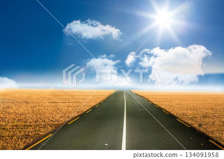 Sunny brown landscape with street Sunny brown landscape with street 134091958