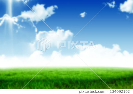 Defocused image of grassy land Defocused image of grassy land 134092102