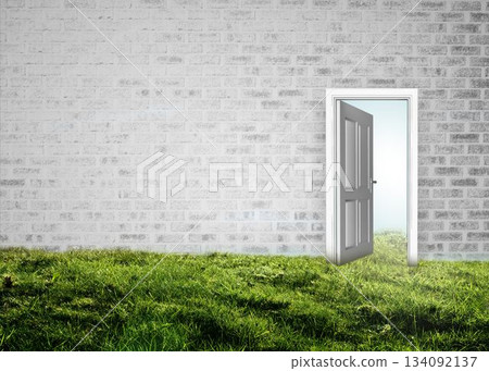 Open door on wall on grass Open door on wall on grass 134092137