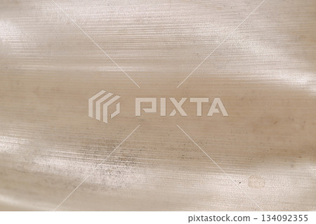 Background material of the skin of the type of bamboo, Houraichiku (Horai bamboo) 134092355