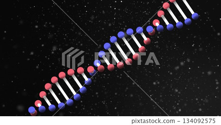 Displaying DNA double helix in digital space, with red-blue nodes, connecting rods, particles 134092575