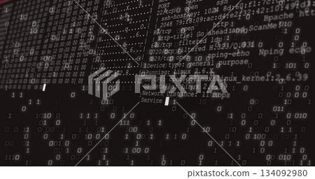 Displaying overlay of binary code and network scan text on terminal display, with port listings 134092980