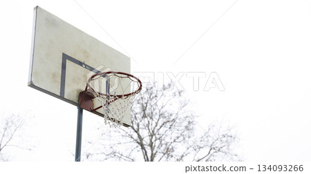 Boys enjoying basketball 134093266