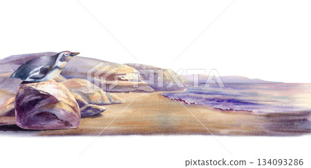 African penguin rests on a coastal boulder at sunset,gazing toward horizon,its species faces decline.Watercolor scene blends soft washes with conservation message for eco branding,awareness campaigns 134093286