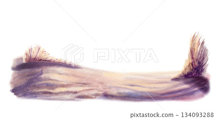 Sand dunes with pampas grass glow in golden sunset light,cast with deep violet shadows.Hand drawn illustration in soft watercolor washes for coastal decor,travel blogs,nature inspired branding Sand dunes with pampas grass glow in golden sunset light,cast with deep violet shadows.Hand drawn illustration in soft watercolor washes for coastal decor,travel blogs,nature inspired branding 134093288