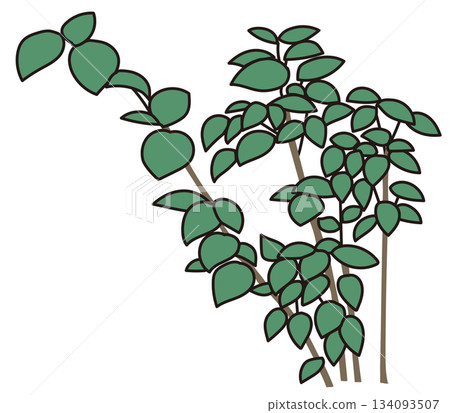 商業設施綠化設計 | 時尚外觀、灌木和象徵性樹木的向量圖 商業設施綠化設計 | 時尚外觀、灌木和象徵性樹木的向量圖 134093507