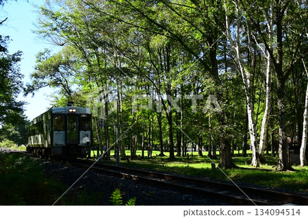Scenery near the JR Yamada Line Kabasoko crossing 134094514
