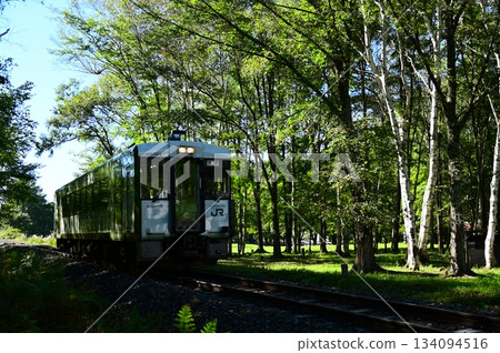 JR山田線卡巴索科交叉路口附近的風景 134094516