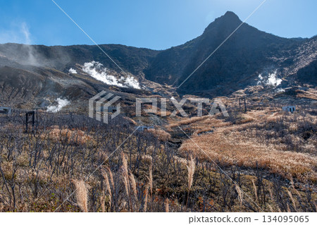 箱根大涌谷的風景 134095065