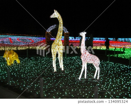 光明之父與光之子 134095324