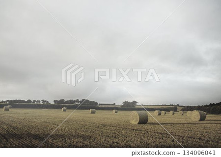 Landscape with bales of straw Landscape with bales of straw 134096041
