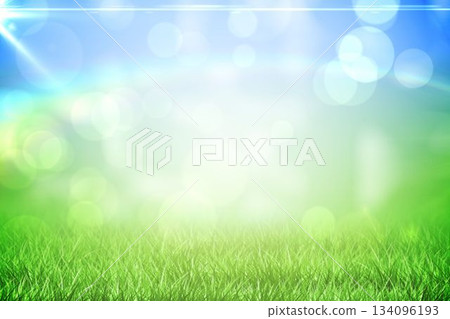 Grass under a sunny blue sky 134096193