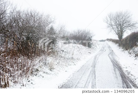 Flat design is showing winding snow-covered lane curving uphill with twin tracks and hedgerows Flat design is showing winding snow-covered lane curving uphill with twin tracks and hedgerows 134096205