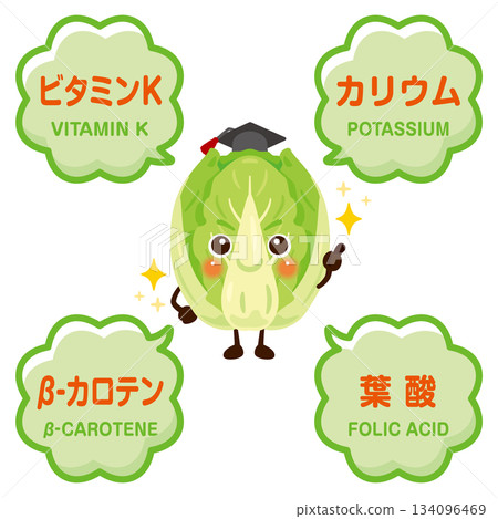 Illustration of Chinese cabbage character and ingredients contained in Chinese cabbage Illustration of Chinese cabbage character and ingredients contained in Chinese cabbage 134096469