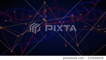 Displaying central blue and red DNA helix weaving in digital space, with golden node network 134096648