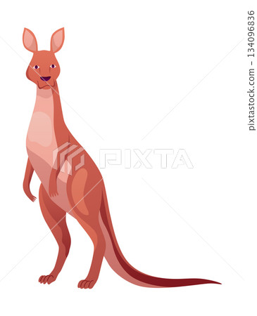 Kangaroo character posing. Adult kangaroo with pouch standing. Vector flat cartoon animal of australian fauna and wildlife, isolated on white background Kangaroo character posing. Adult kangaroo with pouch standing. Vector flat cartoon animal of australian fauna and wildlife, isolated on white background 134096836