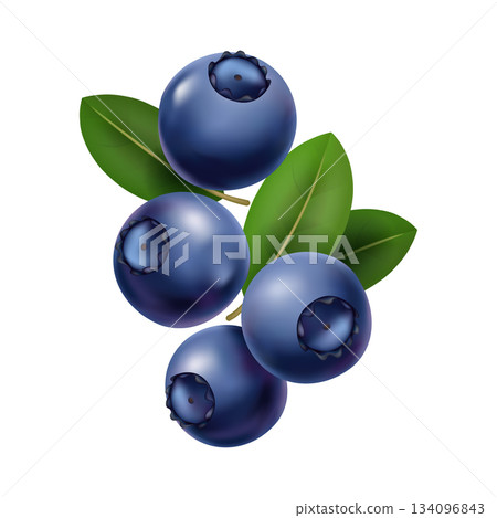 Shimmering blueberry bunches on leafy backdrop art, Colorful illustration showcasing glossy blueberries with dew and vibrant leafy surroundings for culinary presentation Shimmering blueberry bunches on leafy backdrop art, Colorful illustration showcasing glossy blueberries with dew and vibrant leafy surroundings for culinary presentation 134096843
